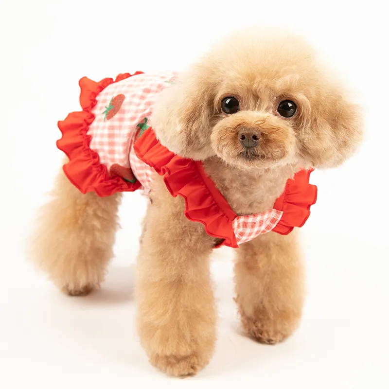 summer girl puppy dress (3)