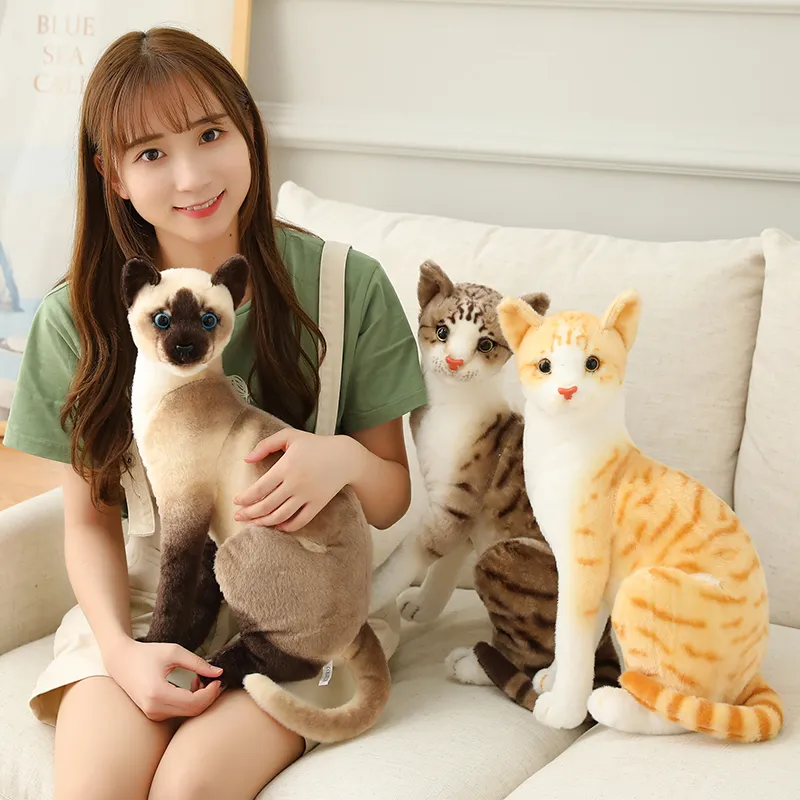 Peluche Chat Siamois 20 Cm – Peluche Toute Douce – Décorative Et Câline – Cadeau Pour Enfants Et Adultes