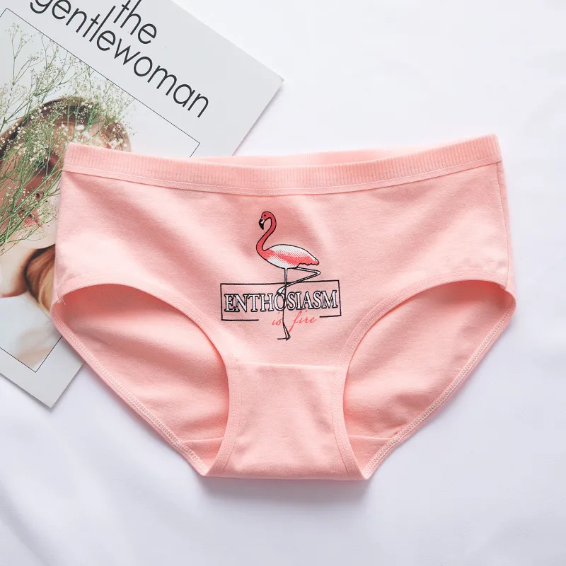 Cartoon Pink Cotton Panties Set For Women Cute And Sexy Panties Briefs With  Underpants And Thongs From Bai04, $9.23