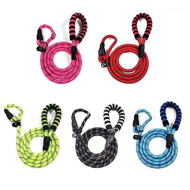 Colliers pour chiens Laisses P Chaîne Laisse Slip Collier Pet Walking Leads Nylon Mountain Escalade Corde Chiot Traction Pour Petits Moyens Grands Chiens1