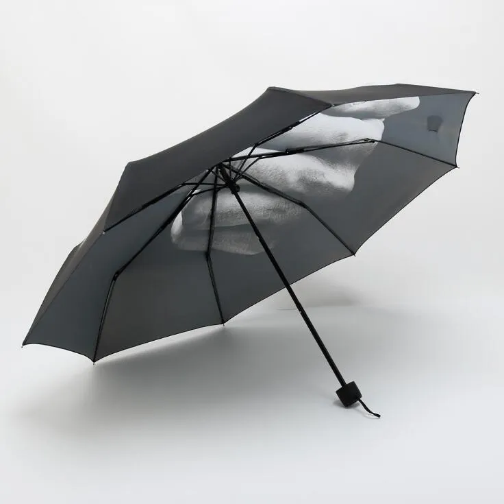 Parapluie Doigt du Milieu Pluie Coupe-Vent Parapluies Créatifs Parasol Pliant Mode Impact Parapluies Noirs Pliez Parapluies KKA1614