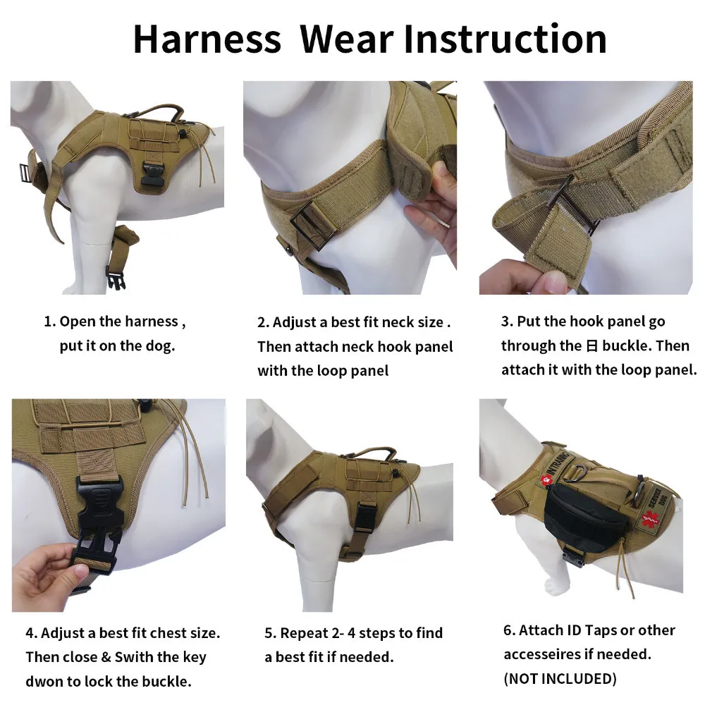 in training service dog harness vest