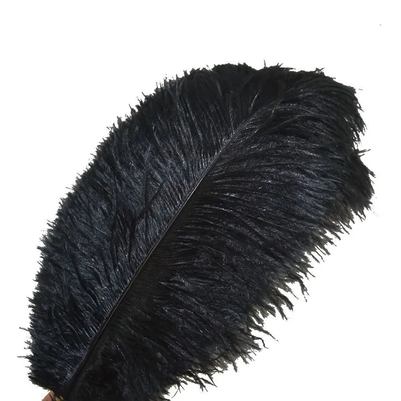 Ostrich shop plumes wholesale