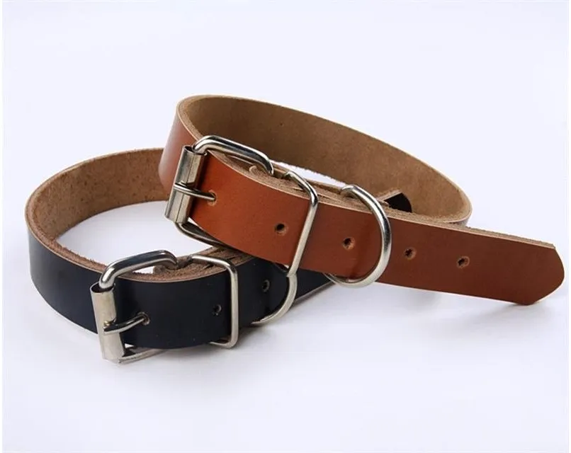 Leather Dog Collars Cats Leash Accessories Chain Stainless Steel Clasp Pet Supplies Multi Color Fashion High Quality Soft 14 5br G2