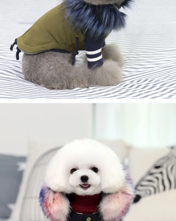 Luxury Dog Clothes (4)