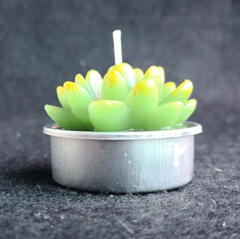 Décor & Garden Drop Delivery 2021 12Pcs Cactus Cute Mini Set Artificial Succulent Plants Candles Home Decoration Candle Tea Light Xmas Gift