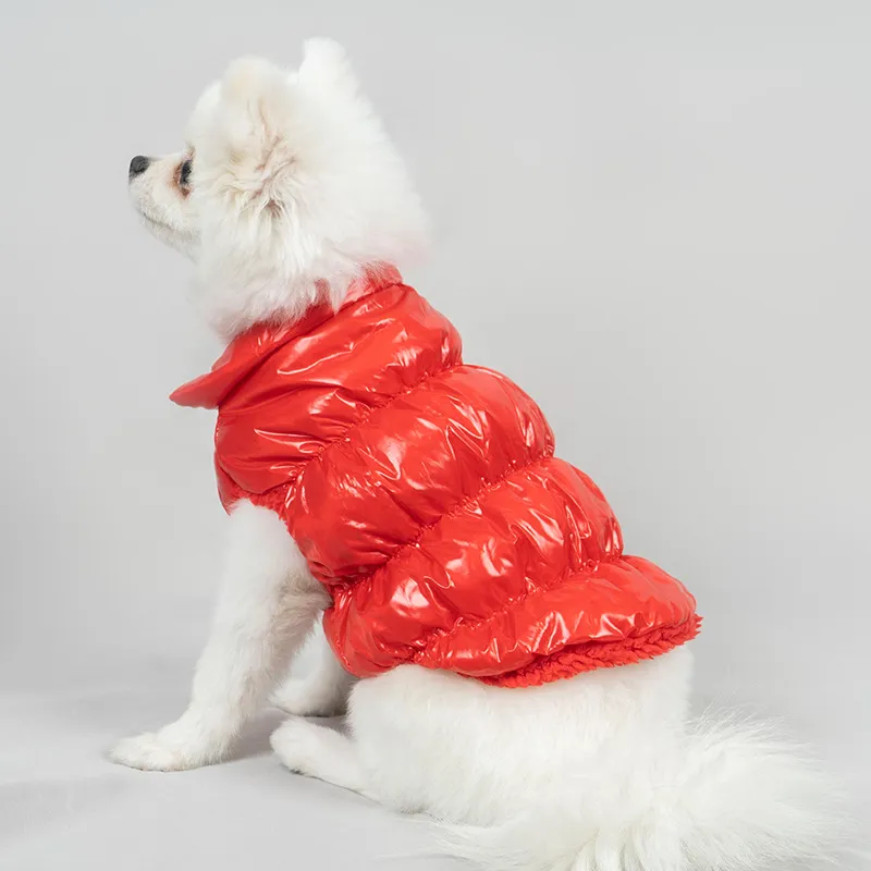 Hundkläder Pet Kläder Glänsande Lamm Down Jacket Two-Legged French Bulldog Warm Fashion Coat