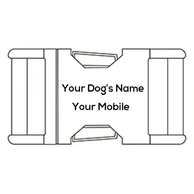 engrave dog collar