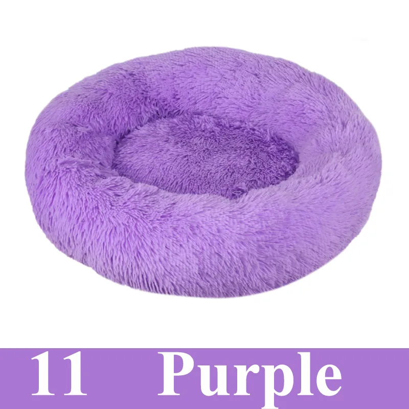 11 purple