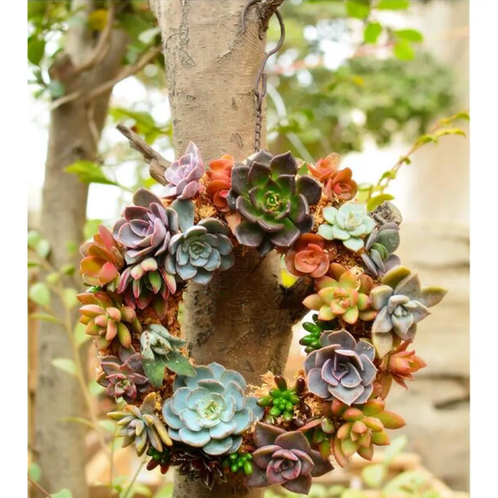 Rustic Iron Wire Wreath Frame Succulent Pot Iron Hanging Planter Plant Holder (Plants Are Not Included)