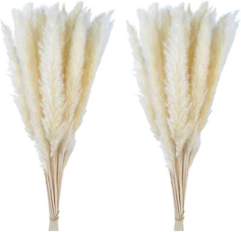 Geschenke für Frauen Pampasgras 30 Stück Dekoration Trockenblumen Natürliches Schilfrohr Phragmites Haufen Communis Dekoration Schachtelhalm Schneebesen Lagurus Ovatus