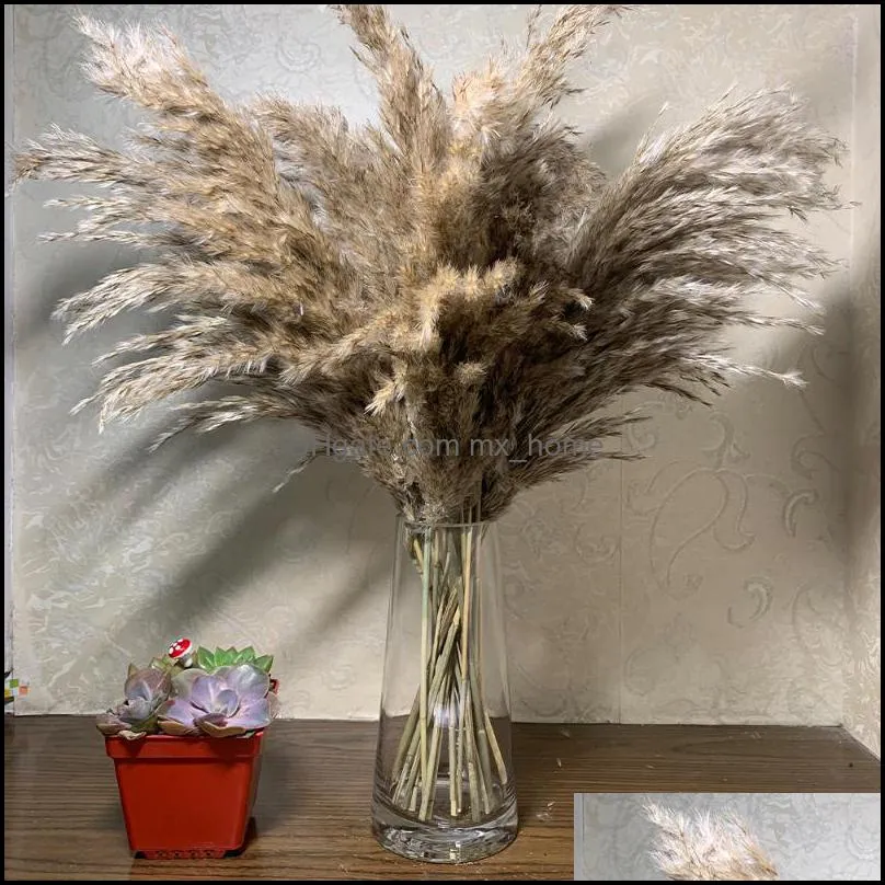 Decorative Flowers & Wreaths 20 Stem Original Color Dry Pampas Grass Bouquet Wedding Natural Plant Home Decoration