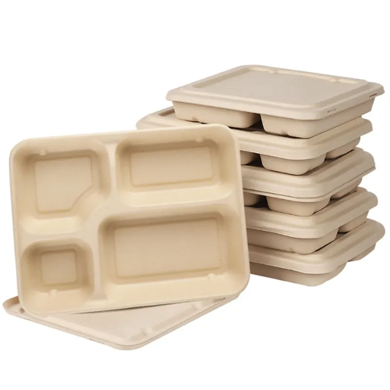 Partihandel 1100ml Miljövänlig matbehållare Salad Förpackning Box Passablåsbar Lunchbox Nedbrytbara Takeout Boxes