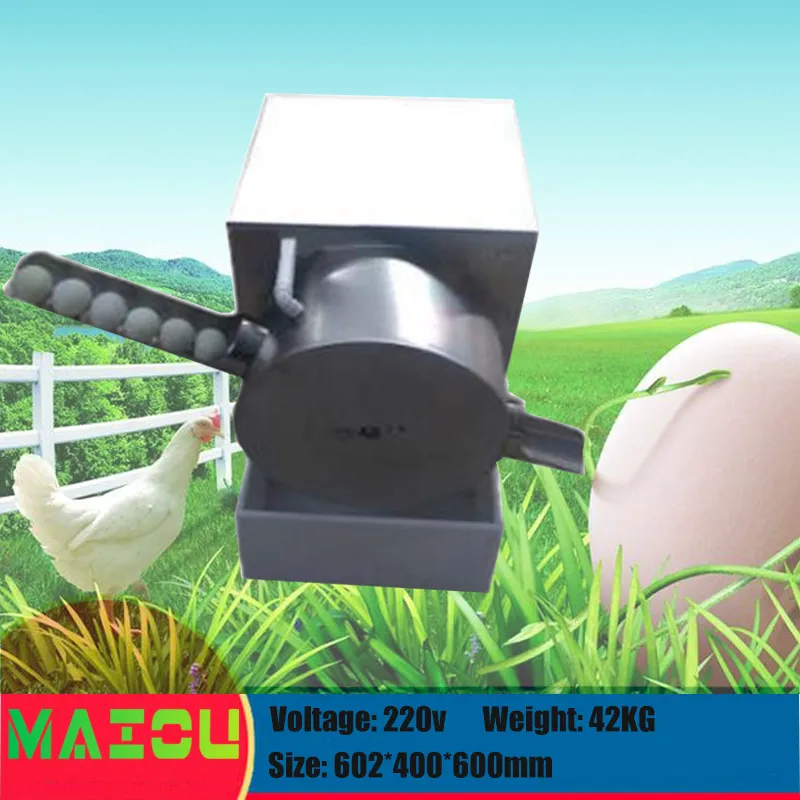 Machine à laver les œufs électrique à une rangée, 2300 pièces/h, équipement de ferme avicole, pour poulet, canard, oie, nettoyeur d'œufs