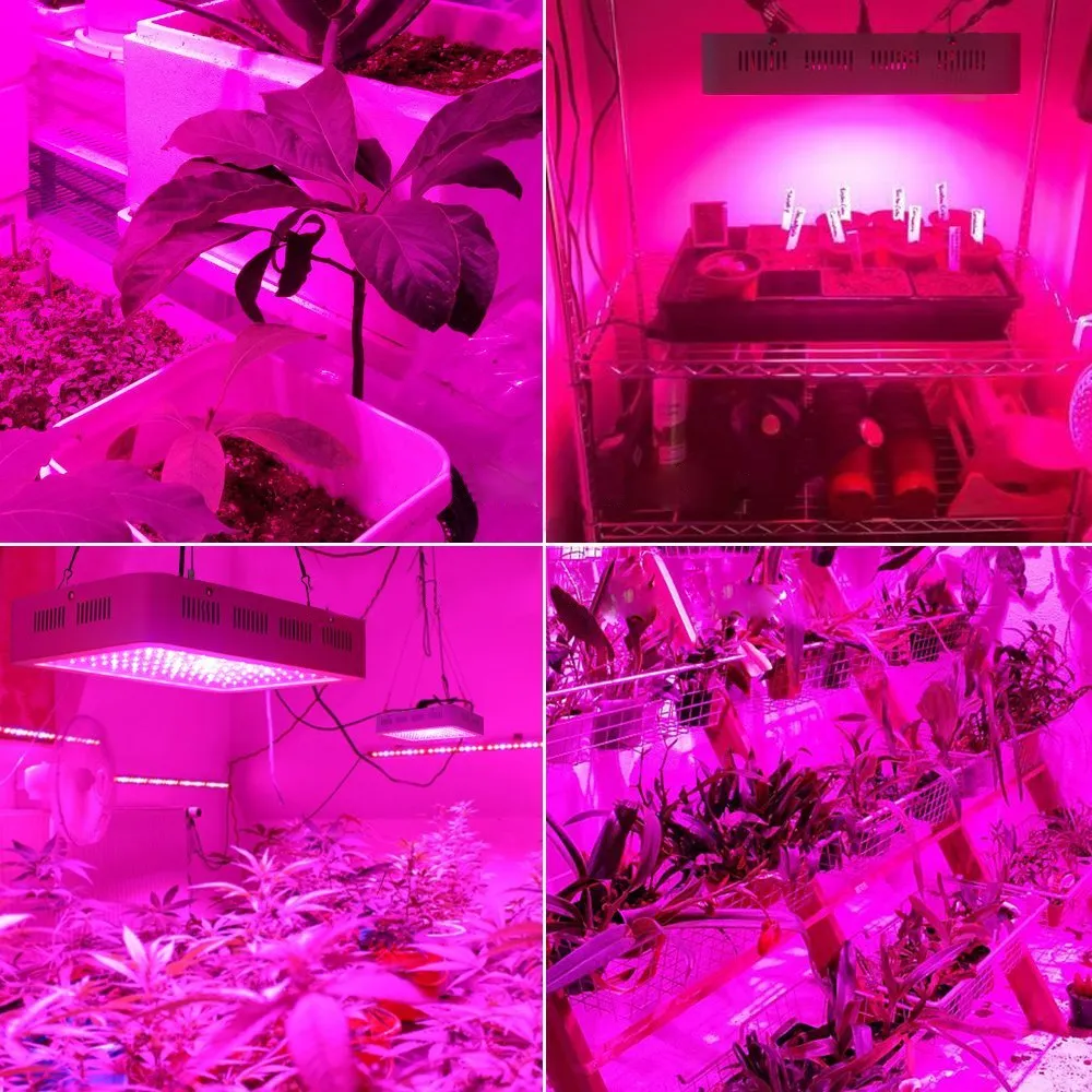 Lampada per la crescita delle piante a LED con spettro di luce completo da 2000 W di design più recente 380-730 nm bianca