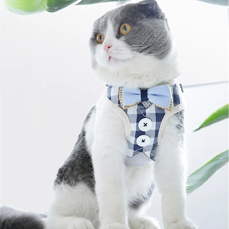 Curated visual reference: Fresh Look at Small Cat Harness And Leash Set Nylon Mesh Pet Vest