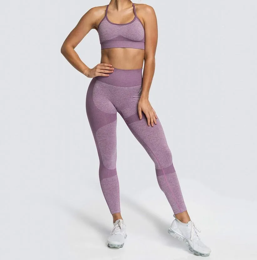 Workout Clothing Set with Tights, Bra and Tank Top