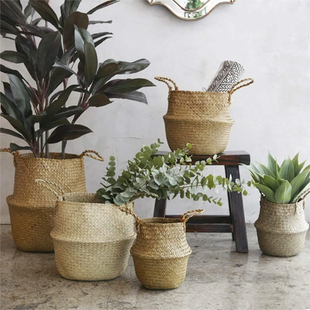 Ivyline Seagrass Indoor Seagrass Lined Basket Planter & Reviews Ivyline Seagrass Indoor Seagrass Lined Basket Planter & Reviews