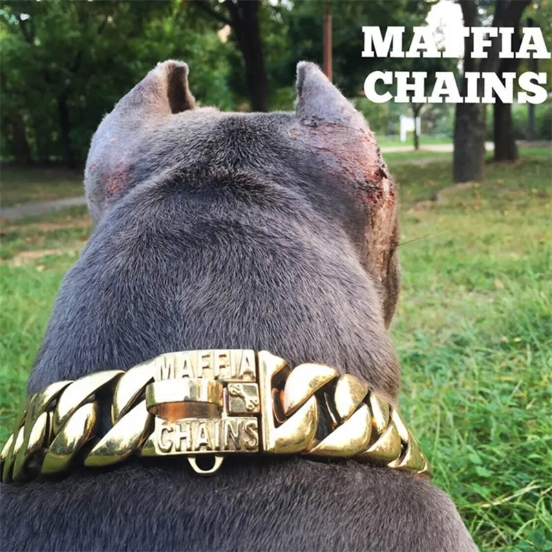 Metal Stainless Steel Cane Corso Collars Steel Chain Martingale
