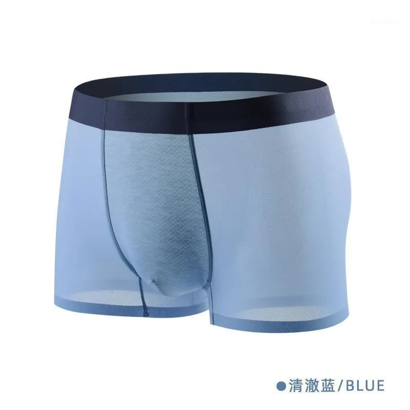 속옷 남자 Calzoncillos Hombre Man 속옷 망 팬츠 Calzoncillos Hombre Slip Calcon Homme Majtki Meskie1