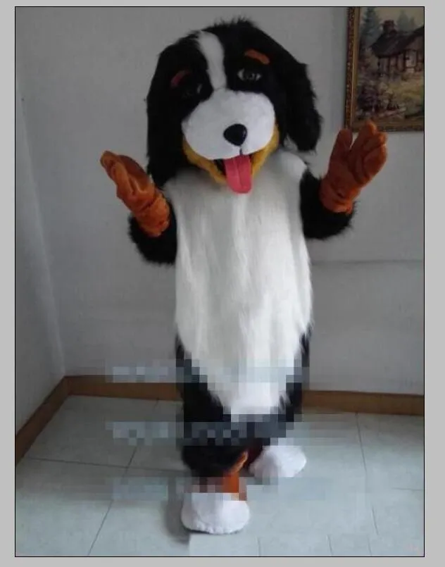 Costume de mascotte de chien de montagne bernois d'Halloween Chien de berger de bande dessinée Anime personnage de thème Carnaval de Noël Fête Déguisement Adul2125