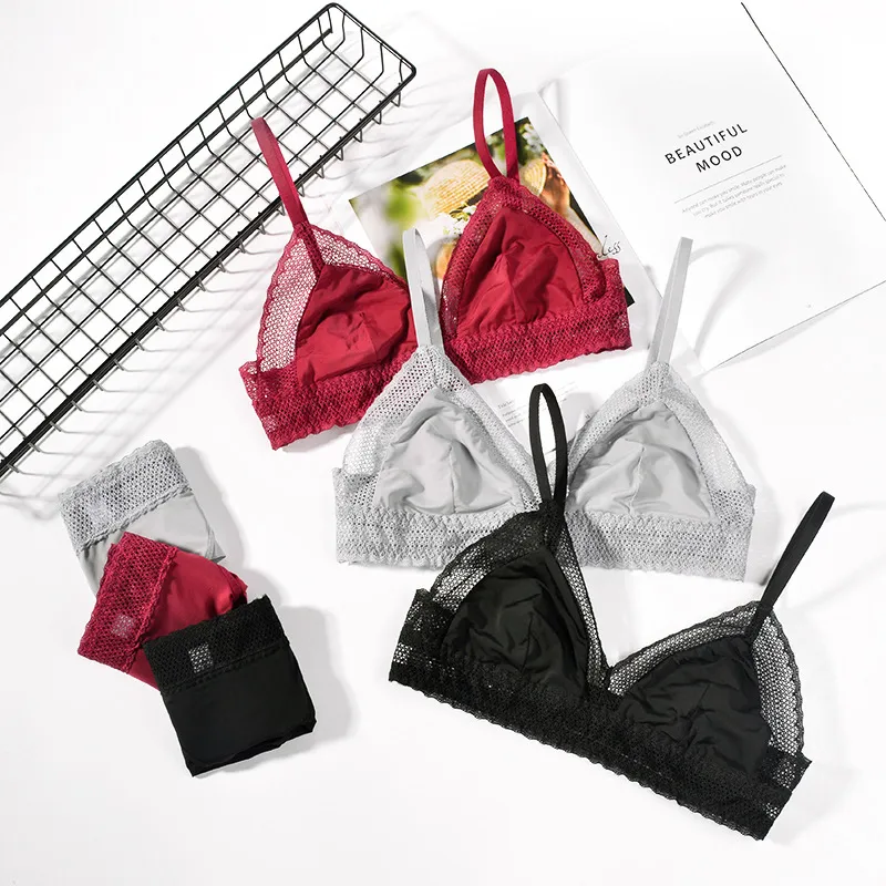 Transparent Lace Corset Clovia Bra Brief Set Sexy Lingerie For