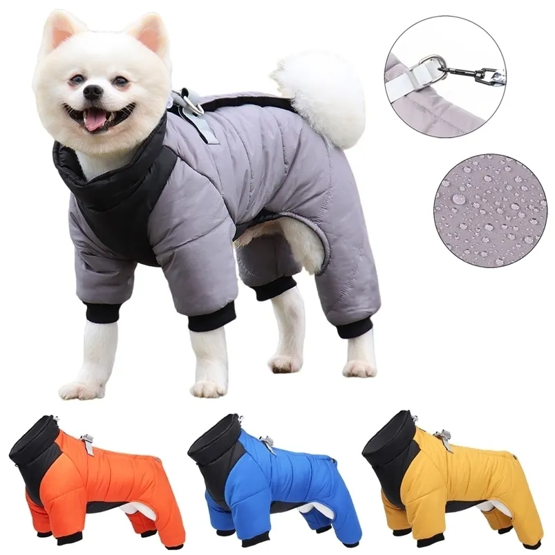 Small dog coats with sales legs