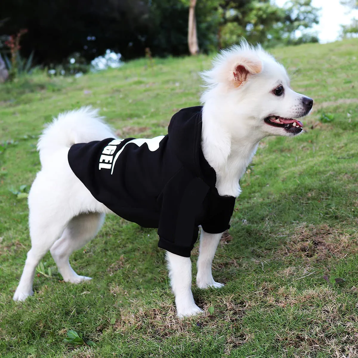Security jacket for dogs hotsell