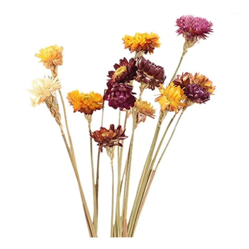 장식용 꽃 화환 -20pcs 말린 꽃 데이지 천연 인공 화려한 chrysanthemum 장식 정원 짚 줄기 웨딩 파티 h