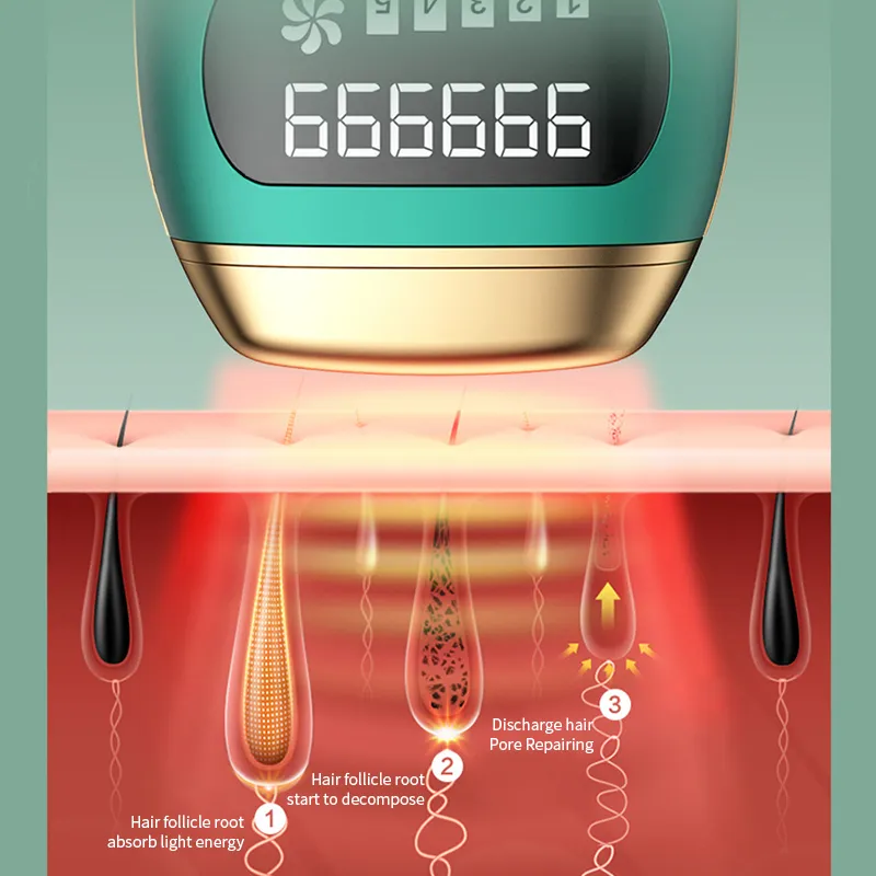 Épilateur laser Flashs indolores IPL Photon Épilation Femmes Corps du visage Épilateur permanent Dispositif Épilateur laser électrique CFYL008