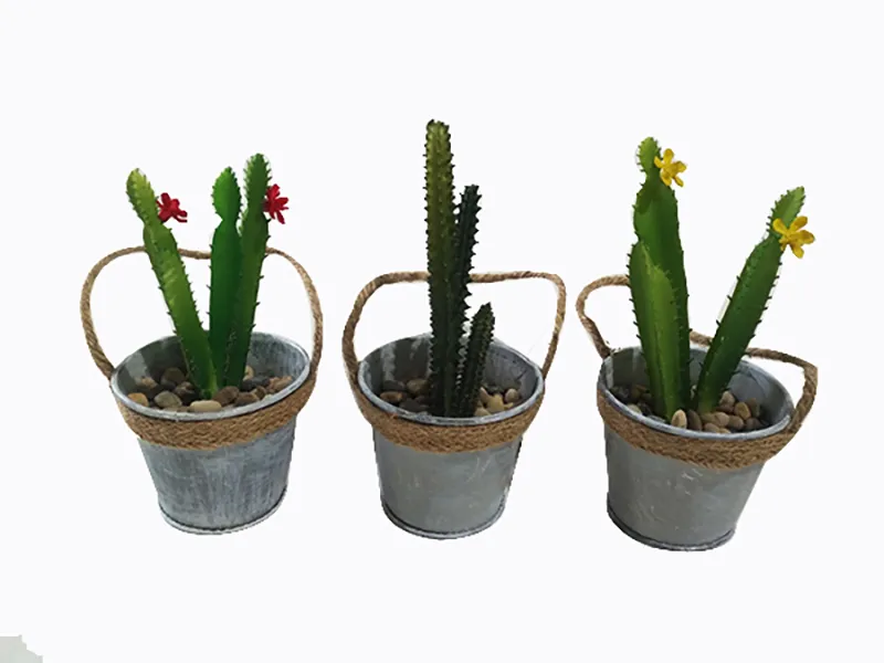 お届け約2週間 6個の花瓶家の鉢植えの多肉植物サボテンの植物の装飾品 植えられた緑の植物は環境を美しくし 空気を浄化する 輸入版 ホーム ガーデン ホームデコ Viskasprekybai Lt お届け約2週間 6個の花瓶家の鉢植えの多肉植物サボテンの植物の装飾品 植えられた緑の植物は環境を美しくし 空気を浄化する 輸入版 ホーム ガーデン ホームデコ Viskasprekybai Lt