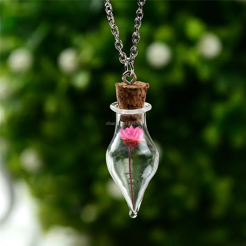 Gedroogde bloemkegel wensen flessen kettingen vrouwen glazen planten kettingen mode sieraden cadeau