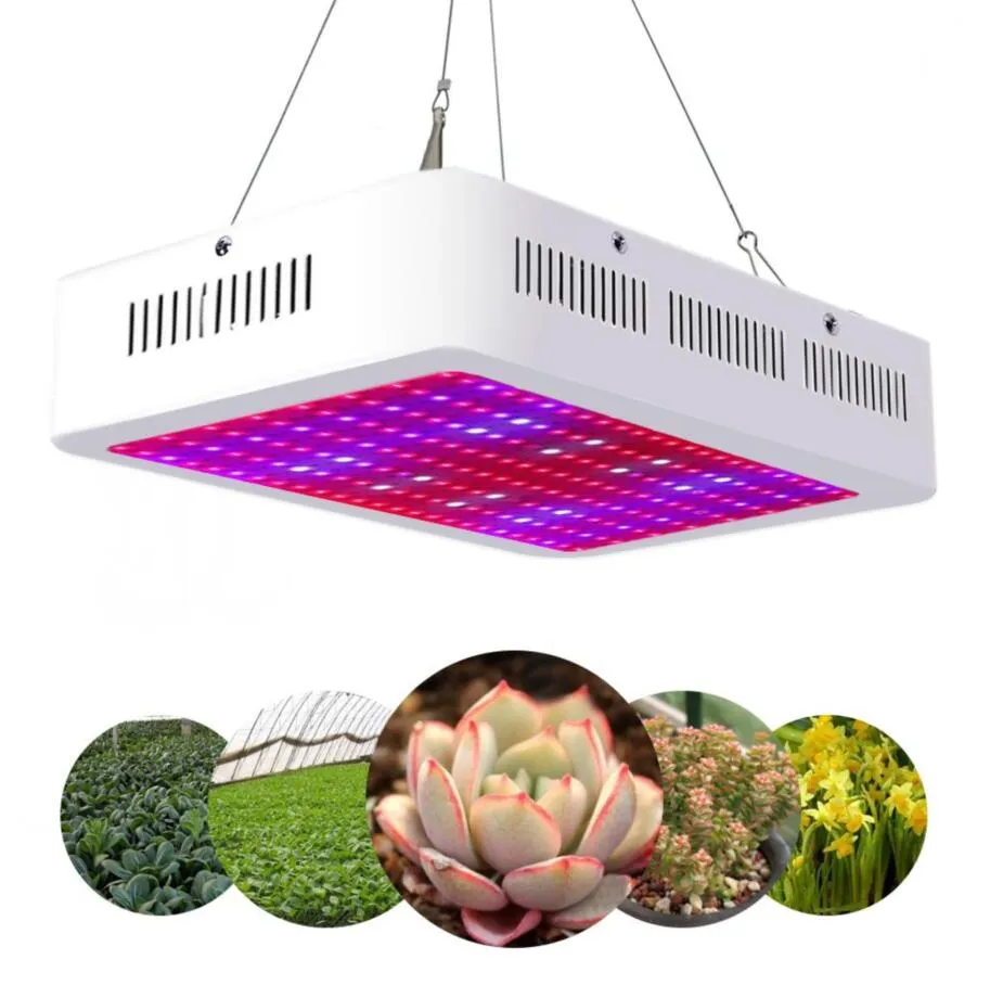 Hot sale2000W Dual Chips 380-730nm Full Light Spectrum LED Plant Growth Lamp White