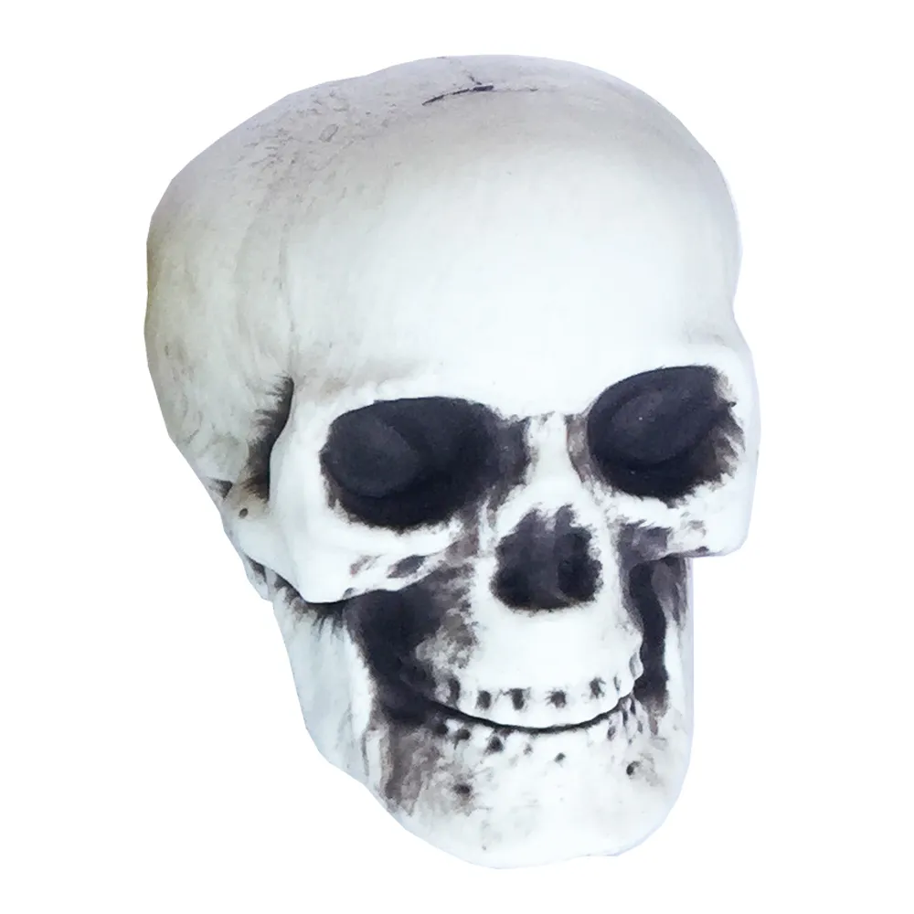 small skull 1