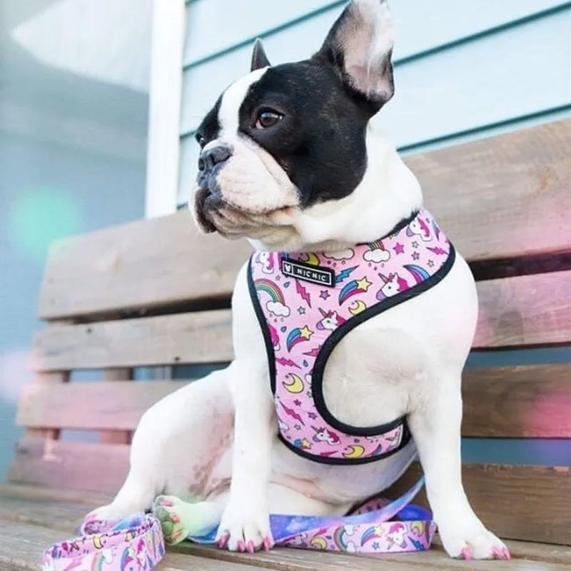 Fransk Bulldog Harness Leash Printed Frenchie Reversible Harness Puppy Small Dogs Mesh Vest Leash Set för Pug Walking Training 201126