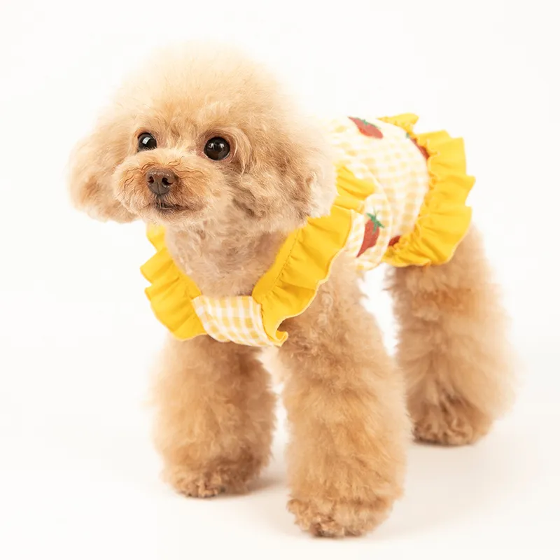 summer girl puppy dress (7)