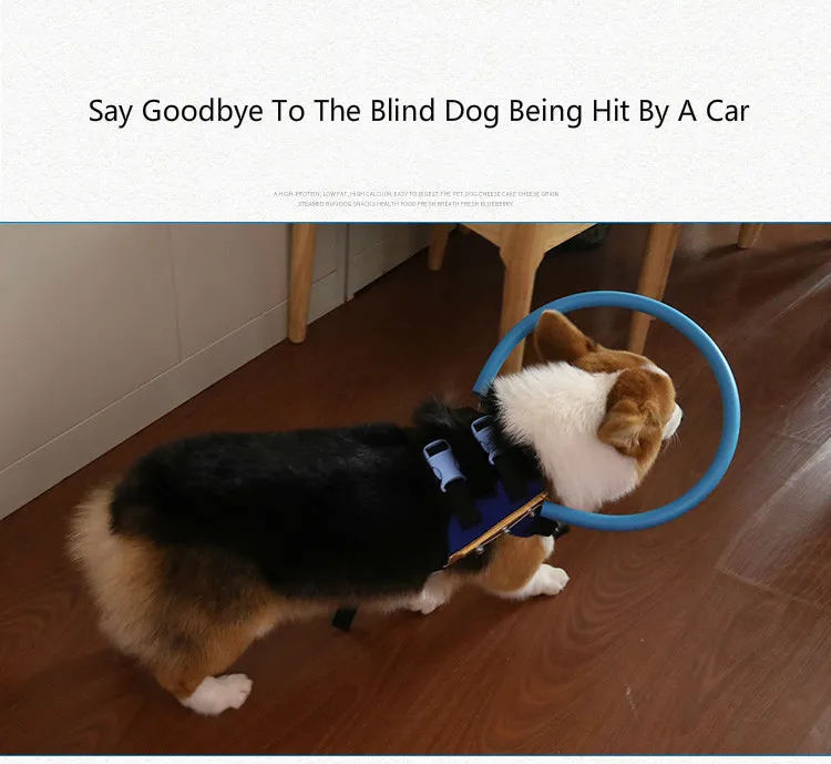 Blind dog sensor collar sales