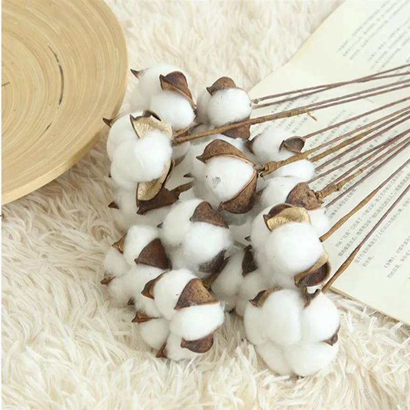 10PCS Artificial White Cotton Branch Artificial Flower Head DIY Natural Dry Cotton Stalk Farm Decoration1
