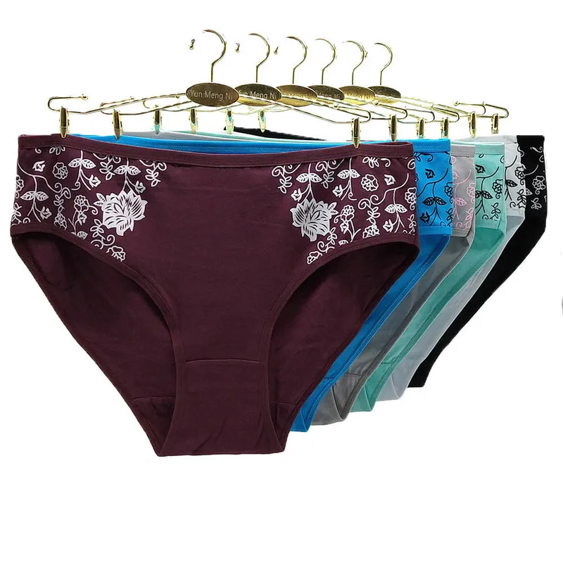 Ladies Panties Plus Size Lace Underwear Solid Color Briefs Knickers  Christmas Gift 6 PCS Cotton Cute Underpanties For Women