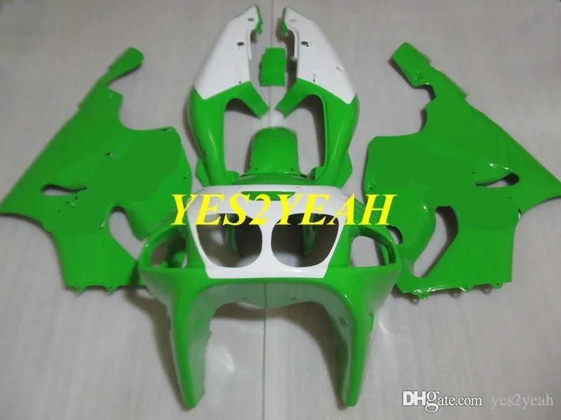 【保障できる】 DHgate.com:Green & White Fairing Body Kit for KAWASAKI Ninja 置物