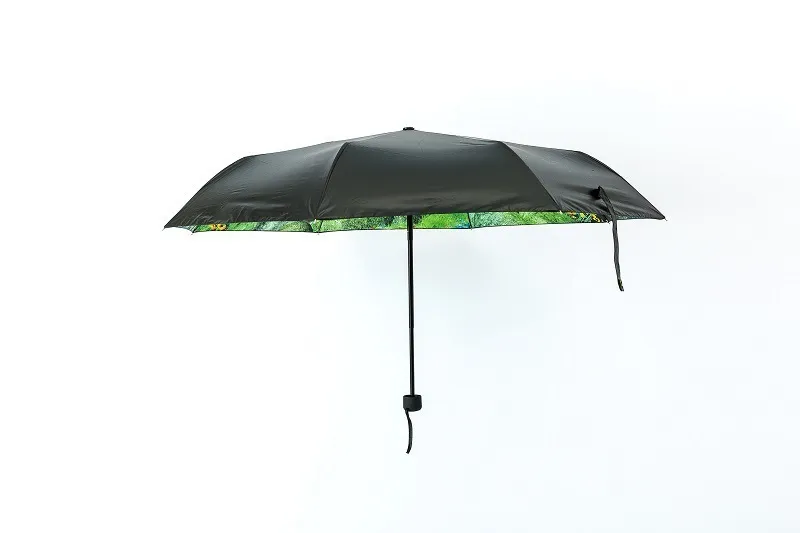 totoro-umbrella (6)