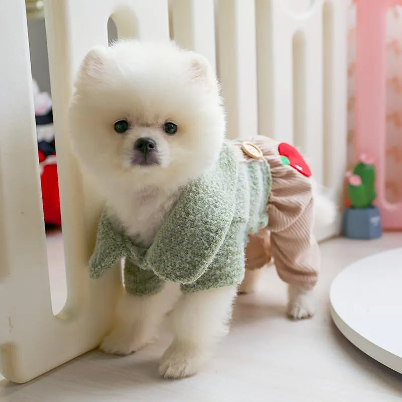 Köpek Giyim Sonbahar Kış Yavru Giysi Askı Etek Ve Dört Bacaklar Tulum Tulum Schnauzer Chihuahua için Tulum Pet Kıyafetler Sevimli Giyim
