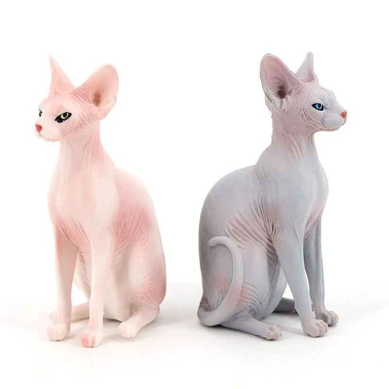 Hairless cat doll top