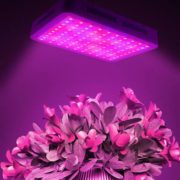 NOUVEAU 1000W Dual Chips 380-730nm Spectrum de lumière pleine lumineuse LED Lampe de croissance de la plante blanche de haute qualité cultiver des lumières