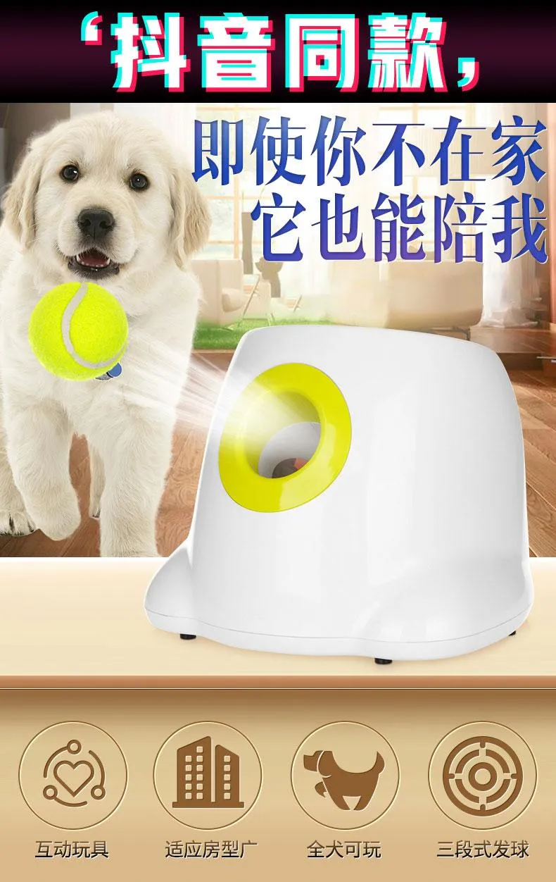 Cheapest dog supplies top