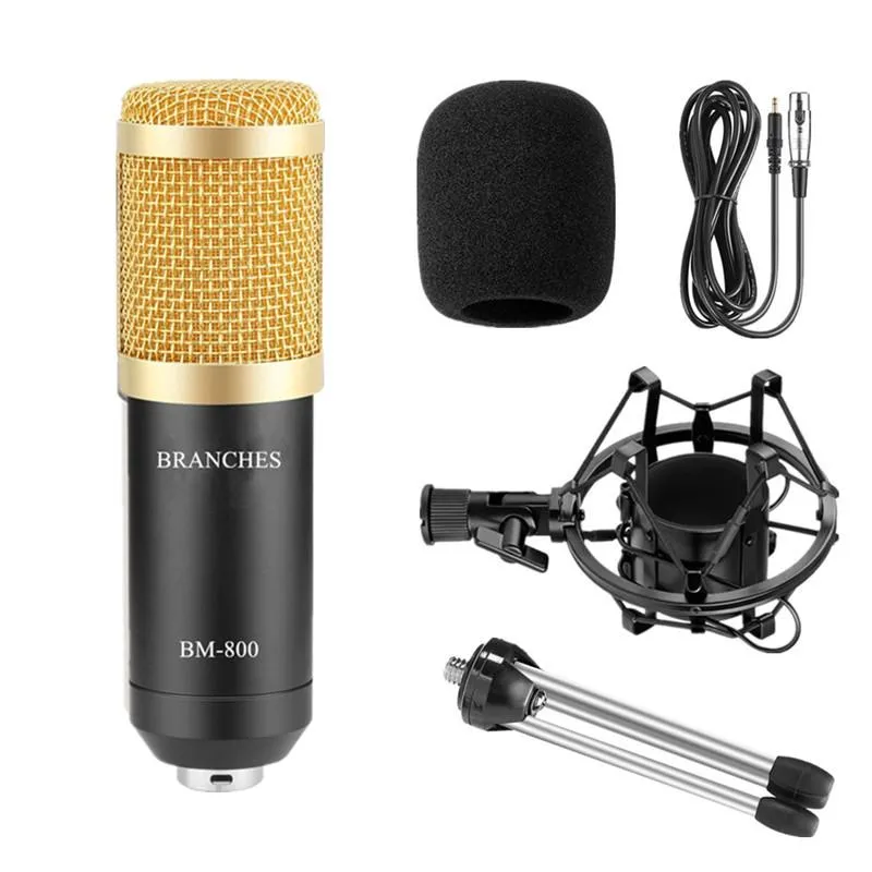 Microphone Professionnel BM-800 à Condensateur V8 + Accessoires