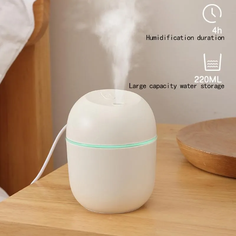 Mini humidificateur d'air portable Diffuseur d'arômes à ultrasons et  humidificateur MINI FACE MISTAIRE Purificateur de thérapie aromatique