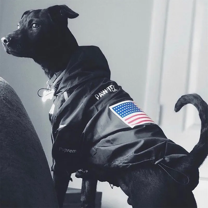 Waterproof French Bulldog Clothes For Dog Raincoat Fashion Dog