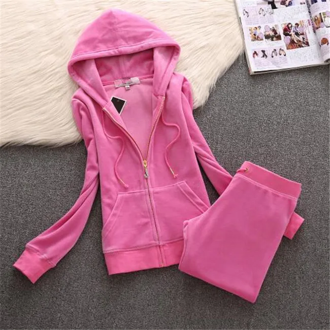 Save Big on Bulk Women S Velour Tracksuit Sets Velvet Tracksuit Women's Set  Designer Inspired Ladies Velour Two Piece Hoodie Pants Suit Best Deals 