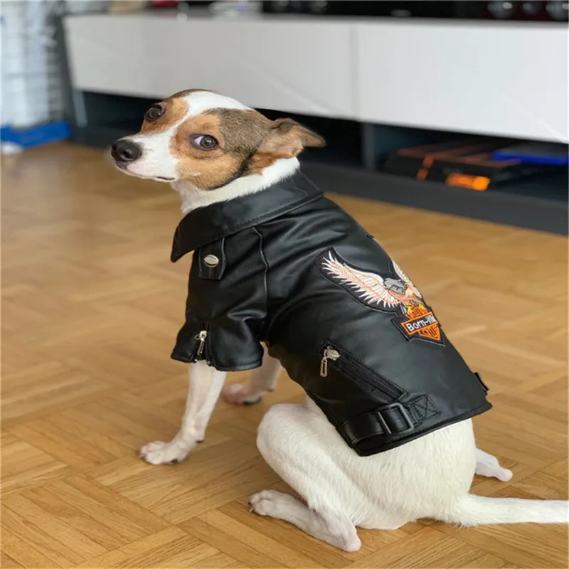 Glorious Eagle Pattern Dog Coat PU Leather Jacket Soft Waterproof Outdoor Puppy Outerwear Fashion Clothes For Small PetXXS-XXL T311u